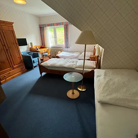 Hotel Zur Muehle *
